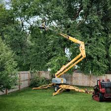 Lawn Renovation and Restoration in Weston Mills, NY